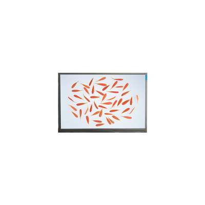 C116NWR4-0 11.6 inch 1366*768 IPS LCD Screen Display