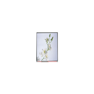 C060SWZ1-0 NEW 6.0 inch 540*960 LCD Screen Display