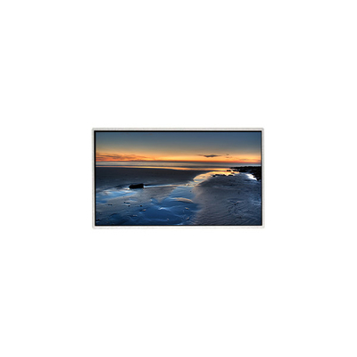 TT090WSQ-N10 9.0 inch 1024*600 LCD Screen Display Panel