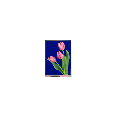 New 5.4 inch C054SWZ4-1 540*960 LCD Screen