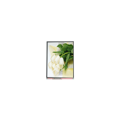 5.5 inch C055SWY2 R0 LCD Screen Panel