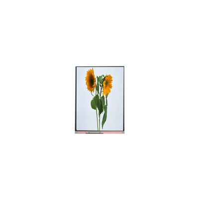 9.0 inch IVO lcd panel C090SWT3-0 1024*600 LCD display modules