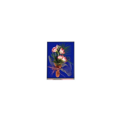 5.4 inch lcd panel 540*960 C054SWN1-1 LCD display module
