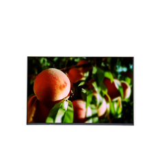in Stock M190PTN01.1 CELL 19.0 inch 1440*900 LCD Display Screen
