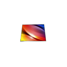 HSD053C8W1-C00-0220 5.3 inch LCD Screen Display for Mobile Phone