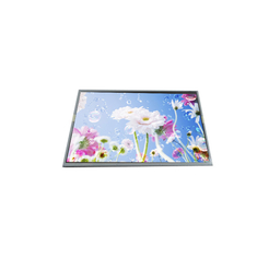 LM250WF4-SJA2 25.0 inch 1920*1080 lcd screen panel module