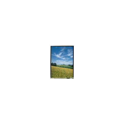 5.0 inch LS050T3SX01 1080*1920 LCD Screen Display