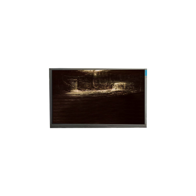 P116NWR1 R6 11.6 inch TFT LCD Display Panel monitor