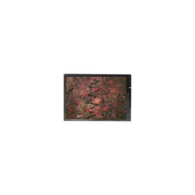10.4 inch 800*600 C0A411-01D LCD Screen Display