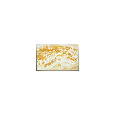 8.9 inch N089L6-L02 1024*600 Resolution LCD Screen Display