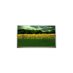 15.6 inch N156B3-L01 1366*768 60Hz LCD Screen in stock