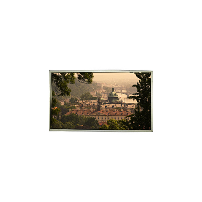 LTM200KT01 20.0 inch 1600*900 LCD Screen Display