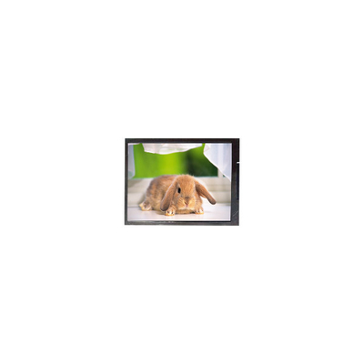 Original in Stock 7.0 inch LR700BA6007 LCD Display Screen
