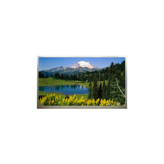 18.4 Inch 1920*1080 LCD Display N184H4-L04