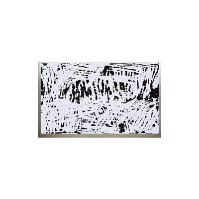 25.5 Inch 1920*1200 LCD Display M260J3-P01