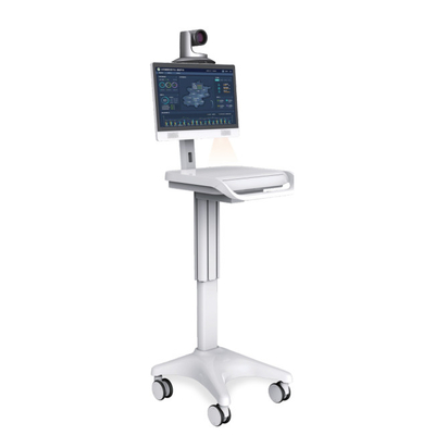 Single Screen Medical Mobile Workstation Class I 1920x1080 iPS