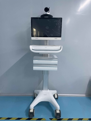 Single Screen Medical Mobile Workstation Class I 1920x1080 iPS