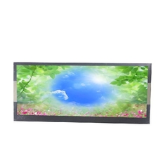 C102EVN01.0 New Original 10.2 Inch LCD Display Panel For Car GPS Navigation DVD Player