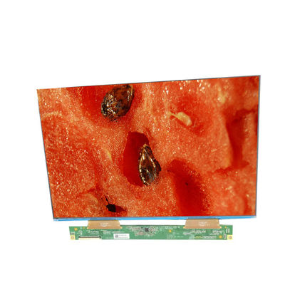 good price 10.1 Inch Industrial LCD Panel Display GV101WXB-NN0-3GP0 LCD Monitors Screen online