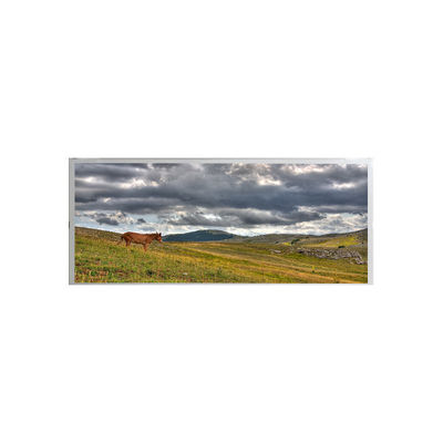 good price AMPIRE 19.1 inch Industrial LCD screen AM-1920360ATZQW-00 online