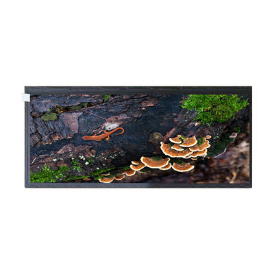 good price 12.3 inches HSD123KPW2-A10 50 pin lcd screen panel display for Automotive Display online