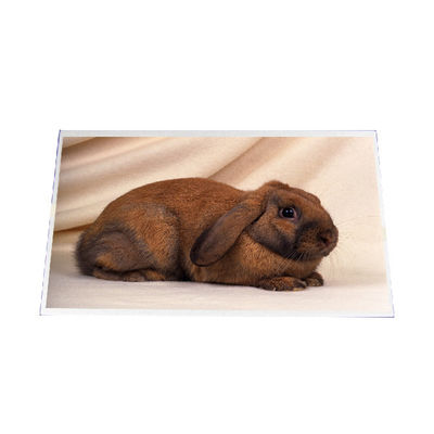 good price B140RW03 V1 14.0 inch 1600*900  LCD SCREEN PANEL online