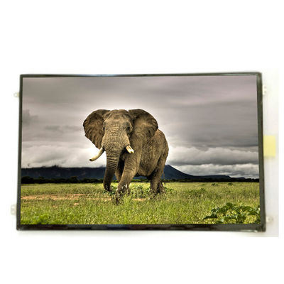 good price B101UAN01.9 10.1 inch 16.7M 52%NTSC  LCD Screen Display online