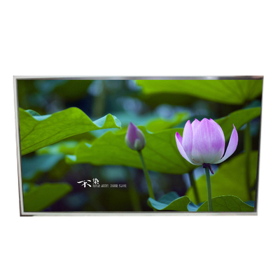 good price 49.0 inch LD490EPN-UKH1 LCD display panel 1920*1080 online