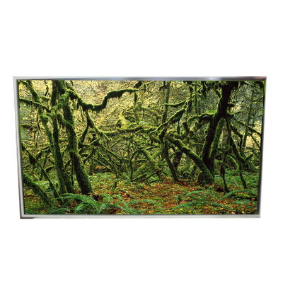 good price LD490EPY-SHP1 51 Pins 1920*1080 60Hz LCD Screen for Digital Signage online