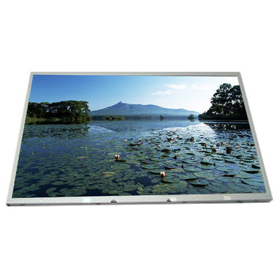 good price LM190E08-TLA1 New 19.0 inch LCD Screen Display online