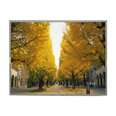 Good price LM201WE3-TLB1 20.1 inch LCD Screen 1680*1050 LCD Display online