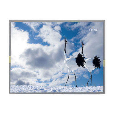 good price LM201WE3-TLD1 20.1 inch LCD Screen LVDS 30pins LCD Display online