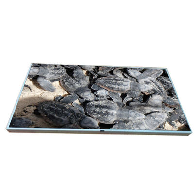 good price LM215WF2-SLA1 Original in stock 21.5 inch LCD Display Screen online