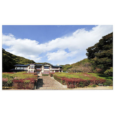 good price LM215WFA-SSE1 Touch LCD Screen 1920*1080 FHD For Lenovo 01AG987 online