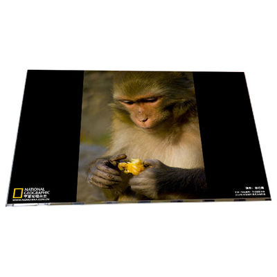 good price LM238WF6-SSA1 1920*1080 23.8 inch TFT LCD display modules panel online