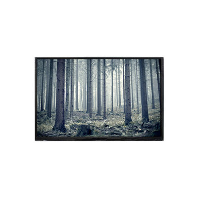 good price BP101WX2-100-3QP0 10.1 inch LCD screen LCD Display online