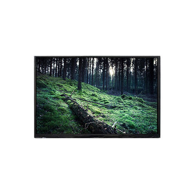 good price BP101WX4-300 10.1 inch LCD screen LCD Display online