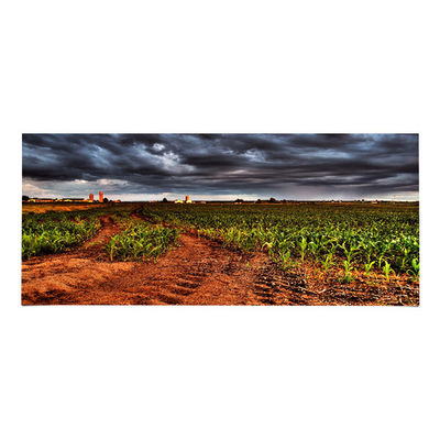 good price LM340UW6-SSA3 34.0 inch LCD Panel 3440*1440 LCD Display online