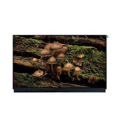 good price NEW DV180FHM-N10 18.0 inch 1920*1080 LCD Screen Display Screen online