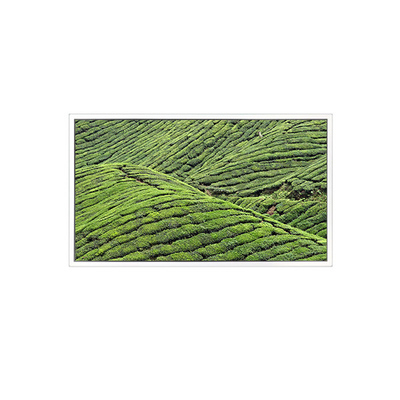 good price DV320WHD-NT0 32.0 inch 1366*768 LCD Screen FOR Transparent Display online