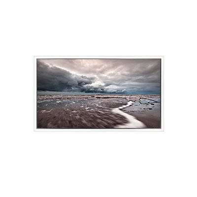 good price 3840*2160 EV550QUM-N50 55.0 inch LCD Screen FOR Outdoor High Brightness online