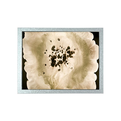 good price 800*600 8.0 inch GT080S0M-N12-1QP2 350 cd/m2 LCD Screen Monitor online