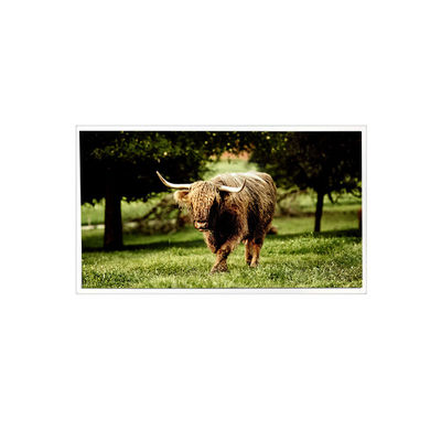 good price 20.1inch TDA201-001V03 1600*1200 900 cd/m2 LVDS LCD Screen Panel online