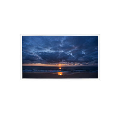 good price 10.1 inch QV101WUM-N81 1920*1200 60Hz  45 pins LCD Panel Display online