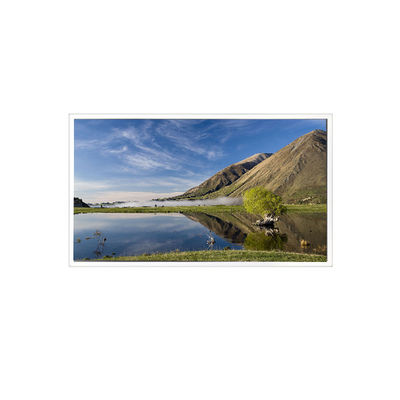 good price TPA050-001 640*480 5.0 inch 262K 68%NTSC LCD Screen for Industrial online