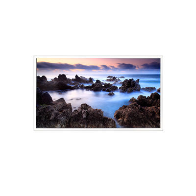 good price TV201U0M-N00 20.1 inch 1600*1200 1000:1 LCD Screen Panel Display online