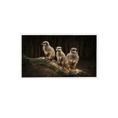 good price RV150U0M-NI0 1600*1200 15.0 inch LCD Screen Panel Display online