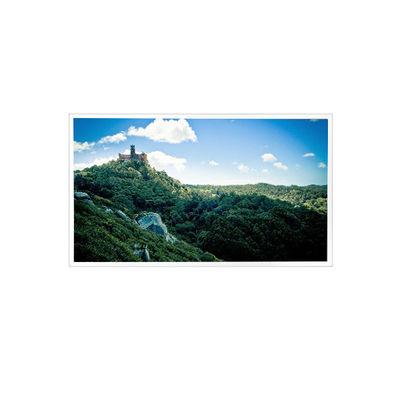 good price 10.4 inch 1024*768 RV104X0M-N01 900 cd/m2 LCD Screen Display online