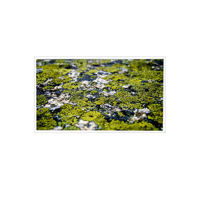 good price 10.4 inch RV104X0M-N00 1024*768 LCD Screen for Industrial online