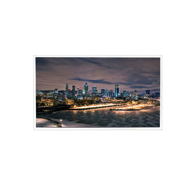 good price 1600*1200 20.1 inch RV201U0M-N01 LCD Screen for Outdoor High Brightness online